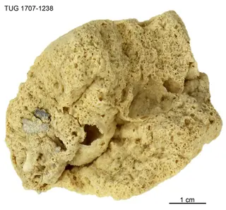 millosevichite