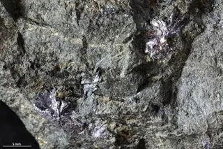 Molybdenite