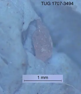 Morinite