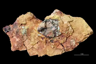 Minerals