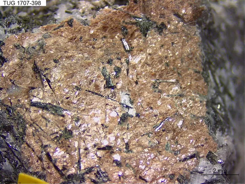Murmanite