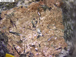 Murmanite
