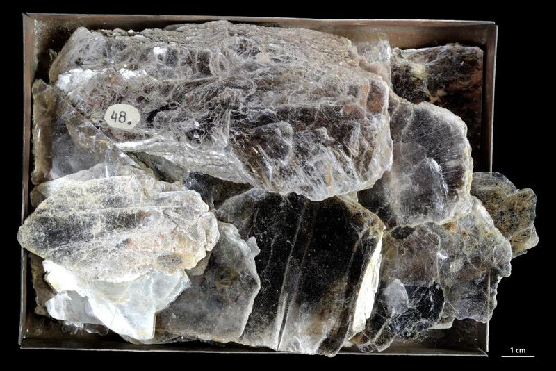 Muscovite