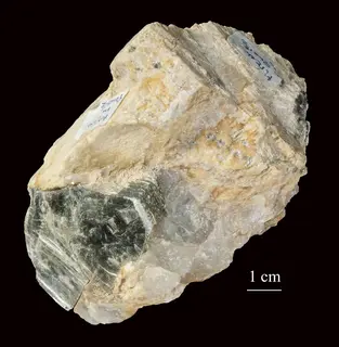 Muscovite