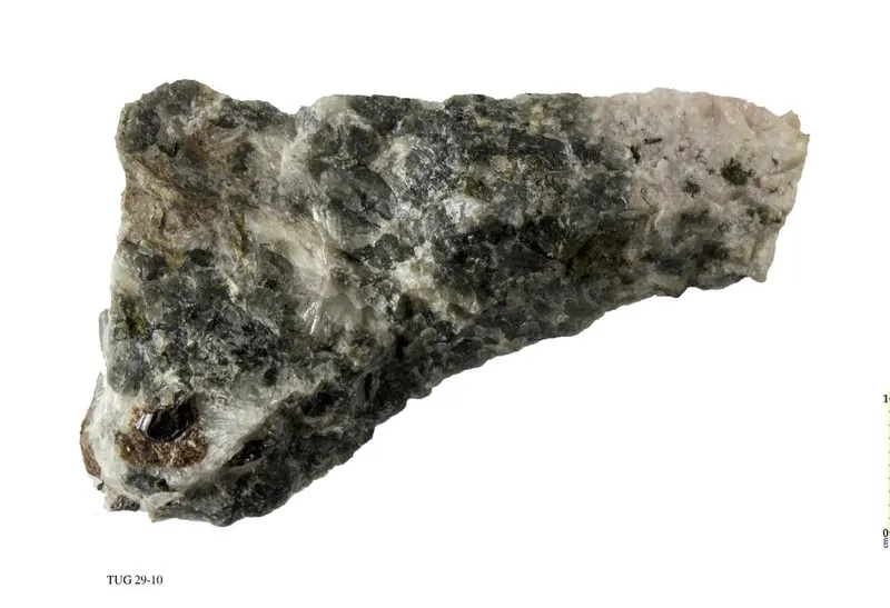 Neptunite