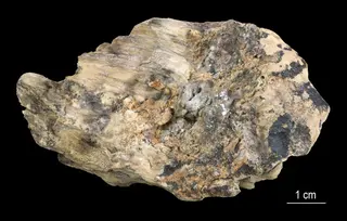 Palygorskite