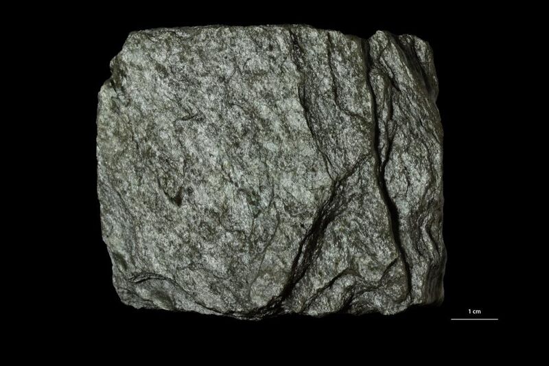 Paragonite