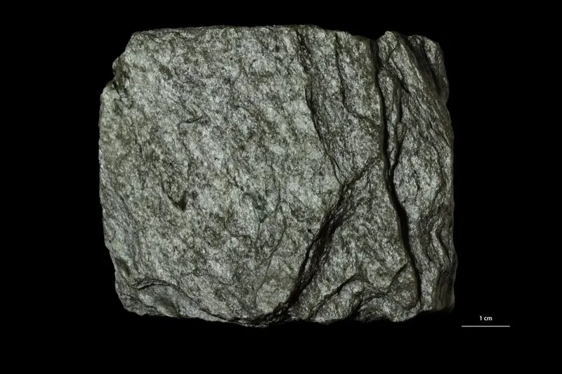 Paragonite