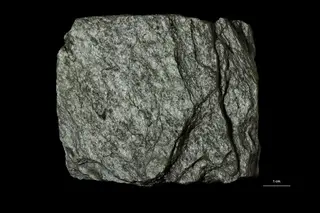 Paragonite