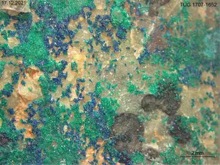 Paratacamite