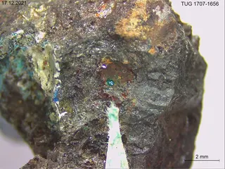 Paratacamite