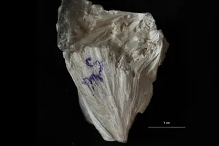 Pectolite