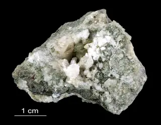 Phlogopite