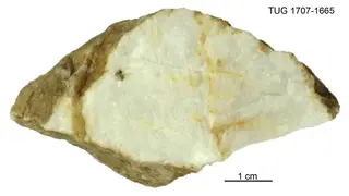 Pollucite