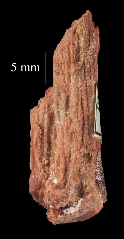 Polyhalite
