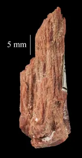 Polyhalite