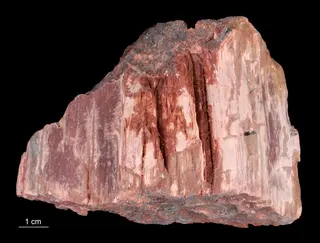 Polyhalite