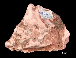 Polyhalite