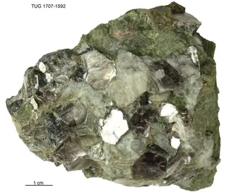 Polylithionite