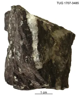 Powellite