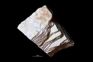 Pyrophyllite