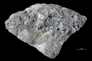 Rammelsbergite