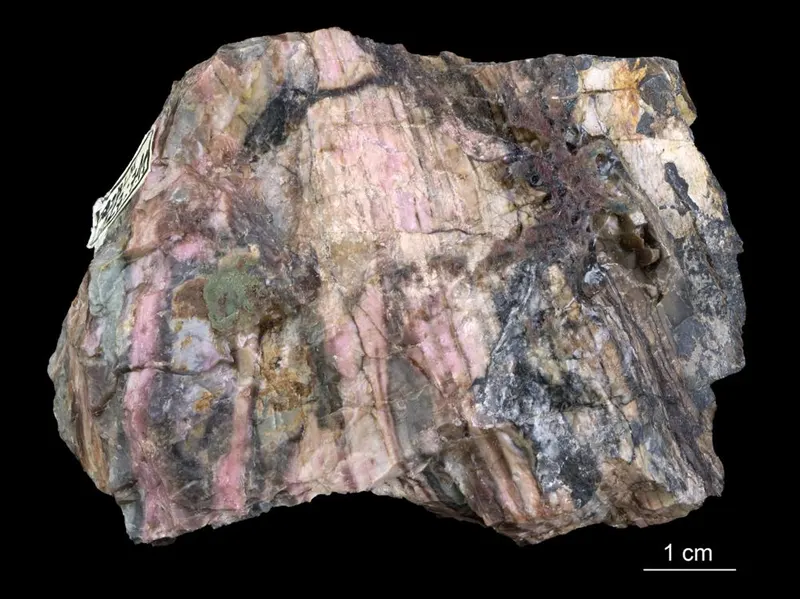 Rhodonite