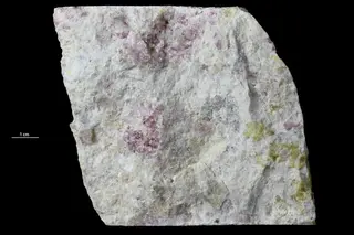 Roselite