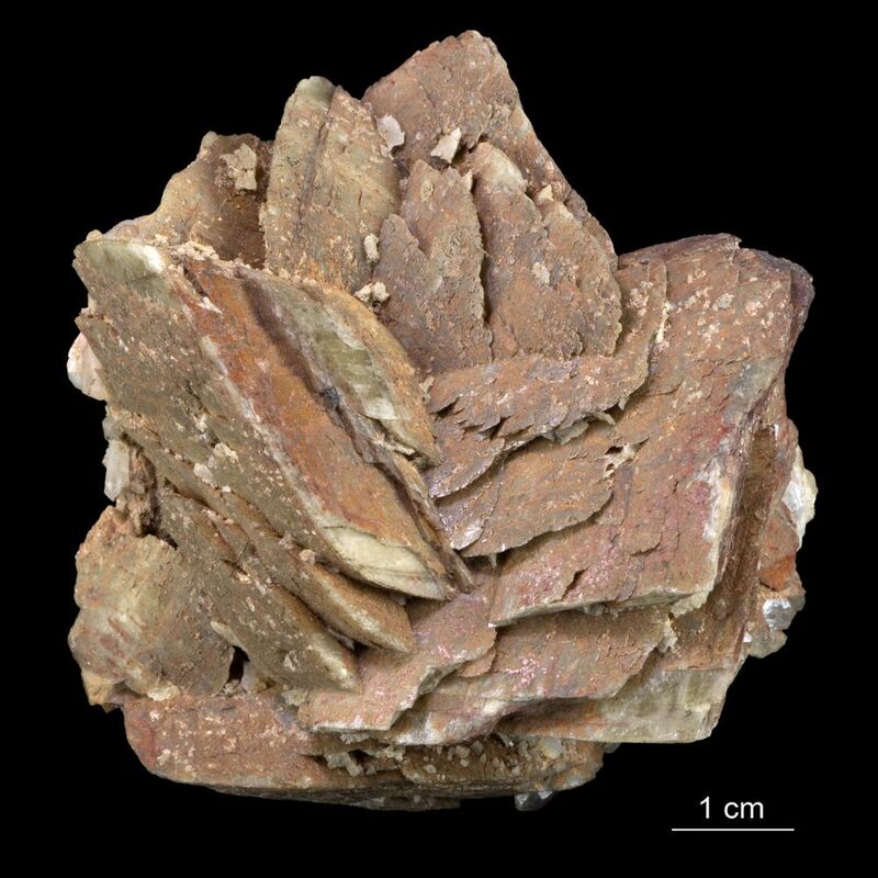 Rutile