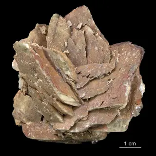 Rutile