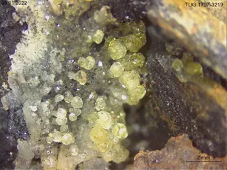 Salammoniac
