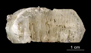 Sanidine