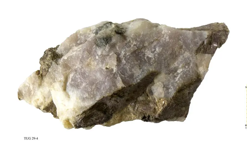 Schizolite