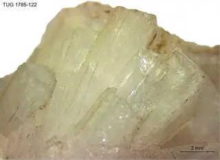 Scolecite