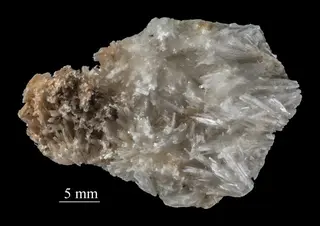 Scolecite