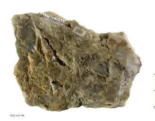 Stolzite