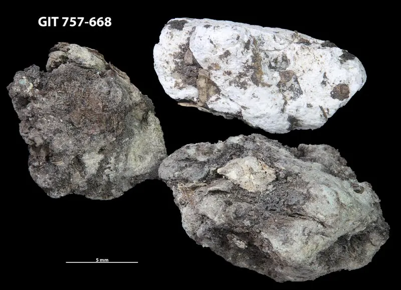 Struvite