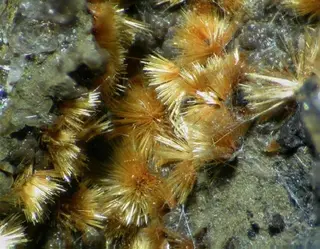 Beraunite-91804.jpg