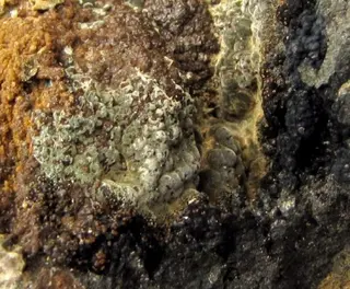 Whitmoreite, Beraunite, Rockbridgeite-386705.jpg