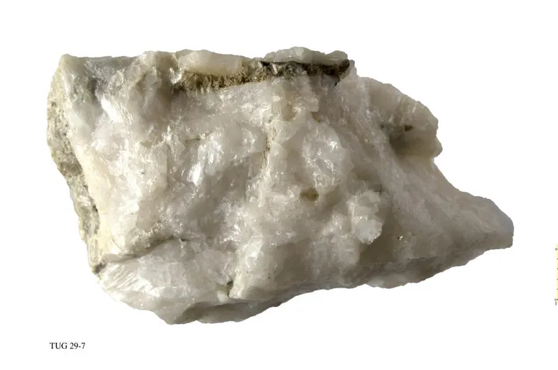 Tainiolite