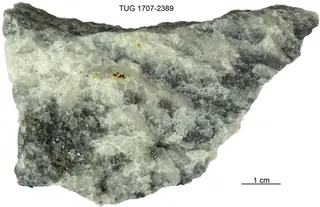 Tellurobismuthite