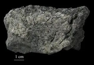 Tenorite