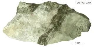 Thaumasite