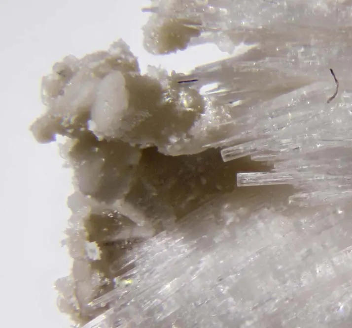 Berborite & Natrolite.jpg