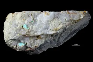 Turquoise