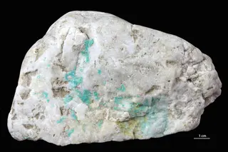 Turquoise