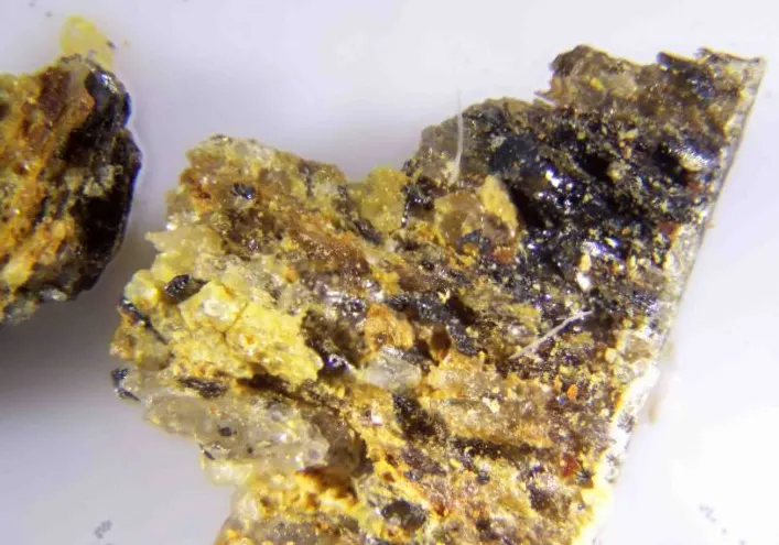 Berdesinskiite & Schreyerite.jpg