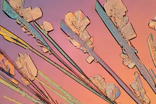Urea crystals