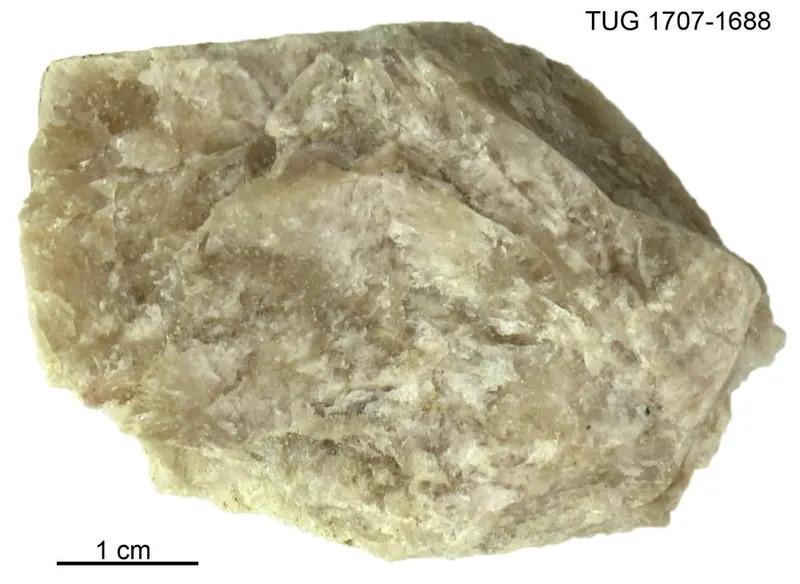 Ussingite