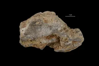 Valentinite